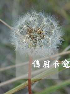 信用卡逾期了 出差影响吗 信用卡逾期了 出差影响吗